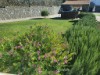 Image 26 - Outside