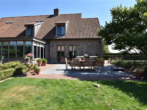 Ferienhaus - 12 Personen -  - 8810 - Lichtervelde
