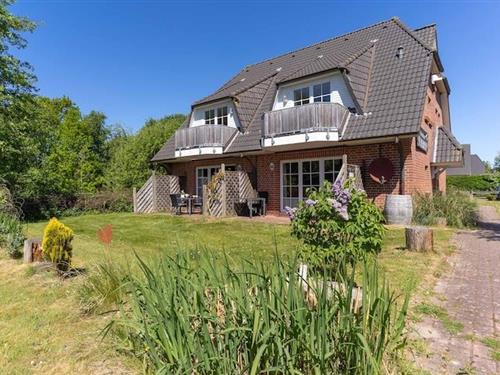 Ferielejlighed - 4 personer -  - 25826 - St Peter-Ording