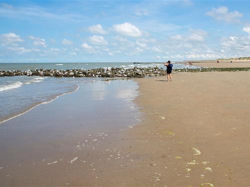 Semesterhus/Semesterlägenhet - 4 personer -  - 8450 - Bredene