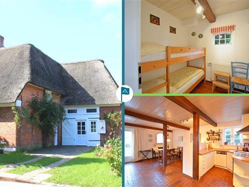 Ferielejlighed - 4 personer -  - Haus - 25938 - Oldsum