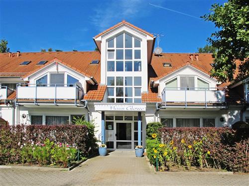 Ferielejlighed - 3 personer -  - Glowe - 18551