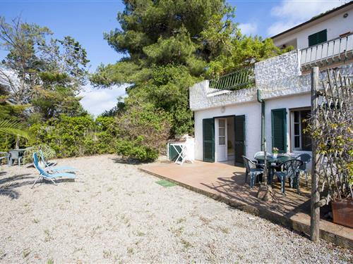 Feriehus / leilighet - 6 personer -  - Lido di Capoliveri - 57031 - Capoliveri