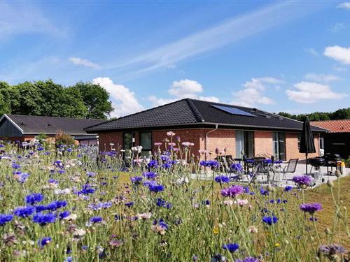 Sommerhus - 8 personer -  - Ellevej - Hasle - 3700 - Rønne