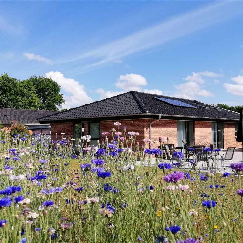 Ferienhaus - 8 Personen -  - Ellevej - Hasle - 3700 - Rönne