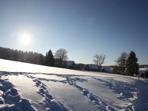 Ferielejlighed - 5 personer -  - Friedrich-Ebert-Str. - 37520 - Osterode-Lerbach