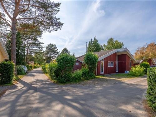 Sommerhus - 4 personer -  - Walter-Gotsmann-Straße - 17252 - Mirow