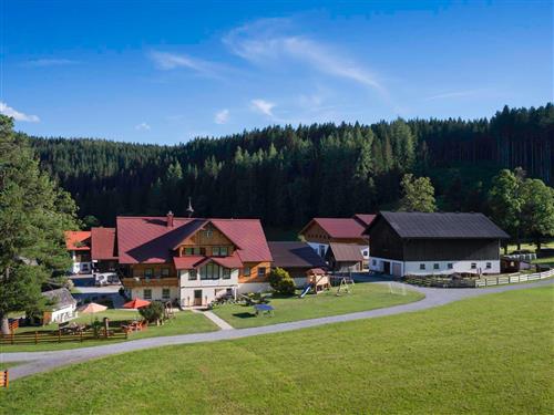 Sommerhus - 4 personer -  - Ramsau - 8972 - Ramsau Am Dachstein