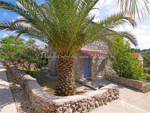 Semesterlägenhet - 4 personer -  - Lošinj / Veli Lošinj - 51551