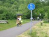 Bild 19