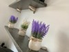 Bild 23