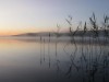 Bilde 28 - Inne
