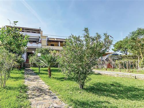 Ferienhaus - 4 Personen -  - Contrada Buonanotte snc - San Marco Di Castellabate - 84048 - Castellabate Sa