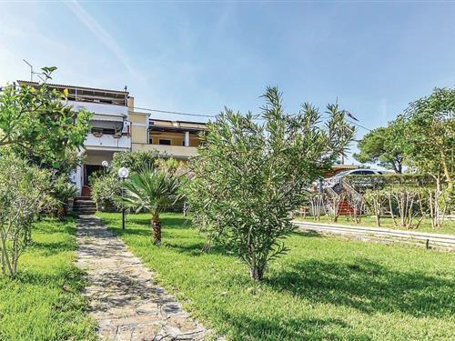 Ferielejlighed - 4 personer -  - Contrada Buonanotte snc - San Marco Di Castellabate - 84048 - Castellabate Sa