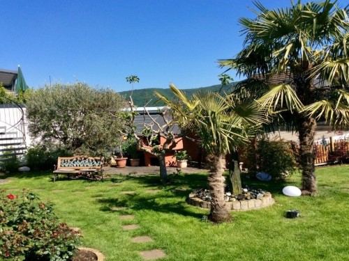 Sommerhus - 4 personer -  - 54346 - Mehring