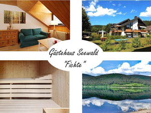 Ferielejlighed - 2 personer -  - Finkenwiese - 79859 - Schluchsee