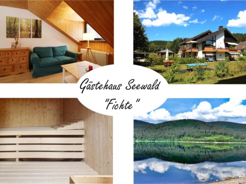 Ferieleilighet - 2 personer -  - Finkenwiese - 79859 - Schluchsee