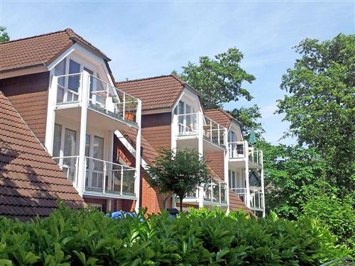 Ferieleilighet - 2 personer -  - Birkenstrasse - 18374 - Seeheilbad Zingst
