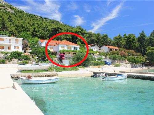 Ferienhaus - 4 Personen -  - Kucište - Perna - 20267 - Kucište - Perna