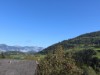 Bilde 4