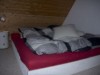 Billede 7