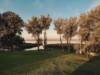 Billede 6