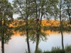 Bild 36