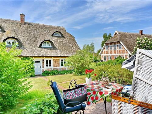 Ferielejlighed - 2 personer -  - Vilmnitzer Dorfstraße - 18581 - Vilmnitz