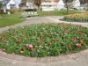 Image 15