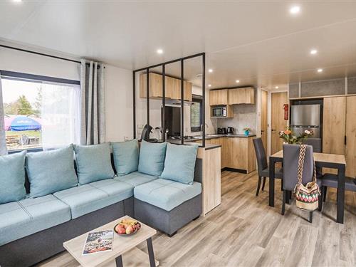 Husvogn - 4 personer -  - Houtvester Jansenweg - 9462 TB - Gasselte