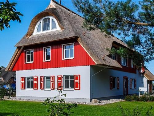 Ferieleilighet - 4 personer -  - In de Wischen - 18375 - Wieck