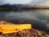 Bild 19