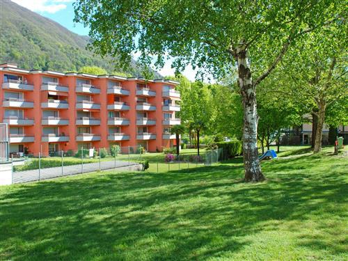 Feriehus / leilighet - 4 personer -  - Losone - 6616