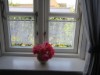 Billede 15