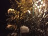 Bild 17
