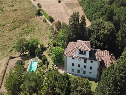 Sommerhus - 14 personer -  - 50067 - Rignano Sull'arno