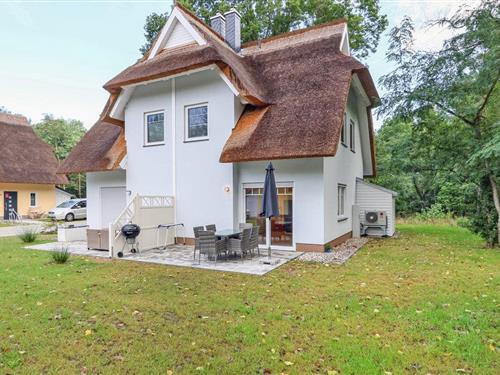 Sommerhus - 4 personer -  - Am Kiefernwald - Fischerdorf Zirchow/Usedom - 17419 - Zirchow/Usedom