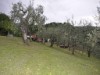 Image 16 - Outside