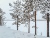 Bild 16 - Inde