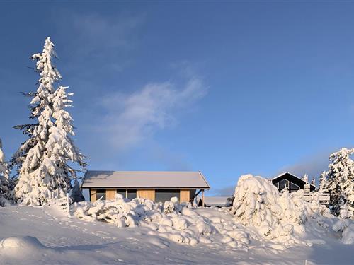 Holiday Home/Apartment - 10 persons -  - Sjusjøen Pihl - 2612 - Sjusjøen