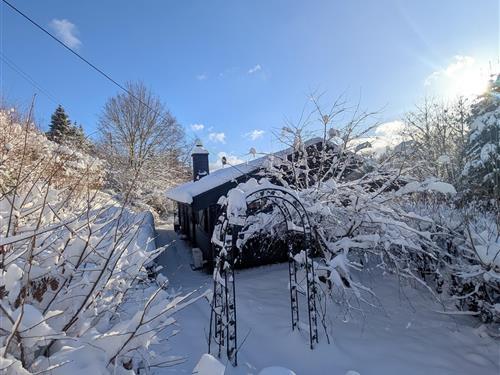 Semesterhus/Semesterlägenhet - 4 personer -  - An der Lönn - 34508 - Willingen (Upland)