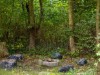 Billede 19 - Grund