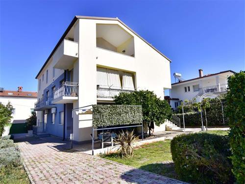 Ferielejlighed - 4 personer -  - Ul. 43. istarske divizije - 52470 - Umag