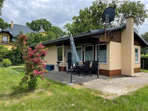 Feriehus - 4 personer -  - Am Erlengrund - 17166 - Dahmen