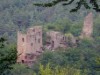 Image 14