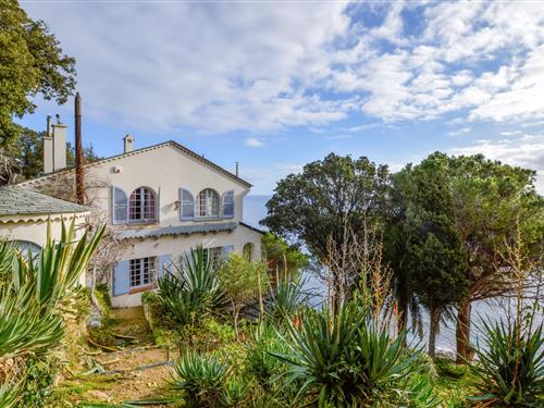 Fritidshus - 14 personer -  - Salto Canino - 20222 - Erbalunga