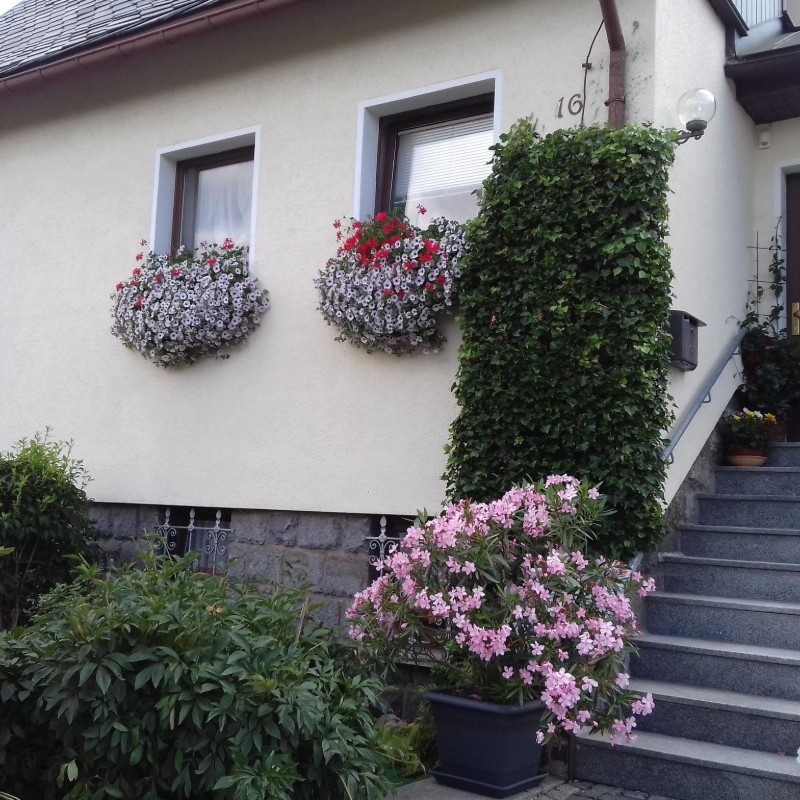 Sommerhus - 3 personer -  - Bergstraße - 01773 - Altenberg