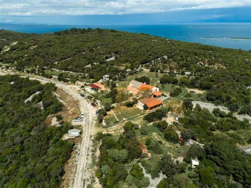 Ferielejlighed - 4 personer -  - Ul. Obrada Hrgovica - 51551 - Veli Losinj