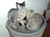 Bild 16