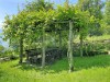 Image 18 - Outside